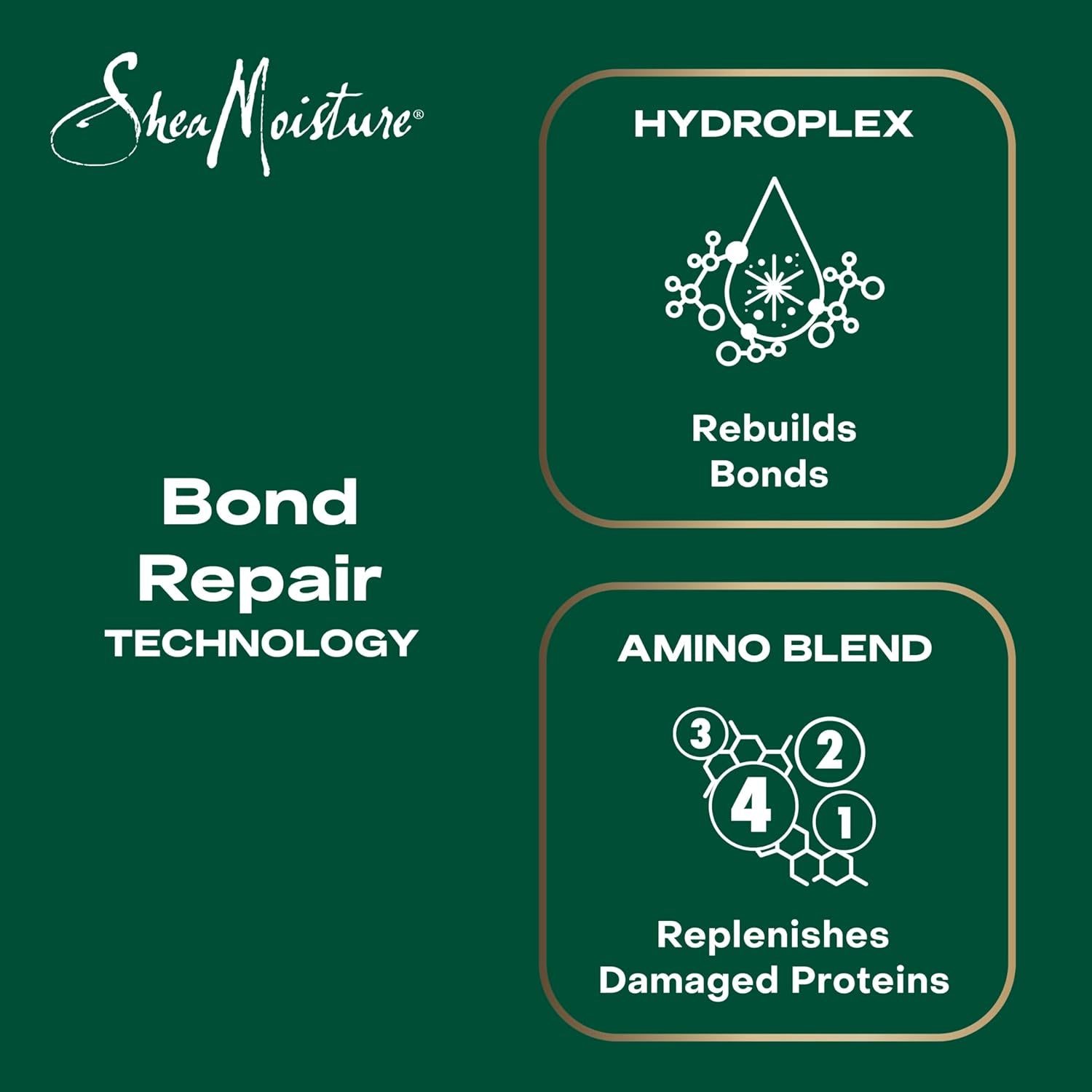 Bond Repair Shampoo Amla Oil to Strengthen Hair with Restorative Hydroplex Infusion 13 FO