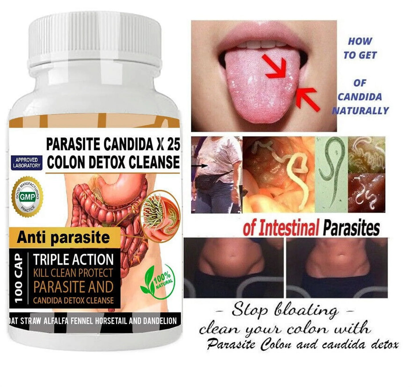 Parasite Candida Colon Detox Cleanse Triple Action 100 Capsules