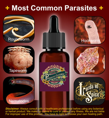 Parasite Cleanse Parasite Detox SAFE FAST EASY Liquid Drops USA Free Shipping